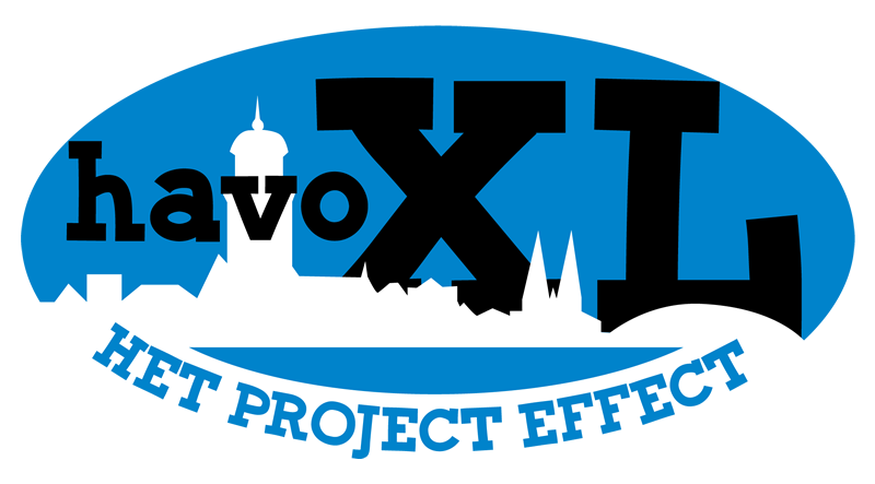 HavoXL logo